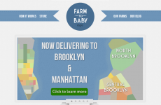 Farm to Baby NYC